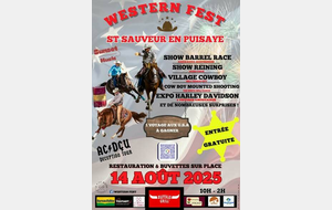 Festival Saint Sauveur en Puisaye