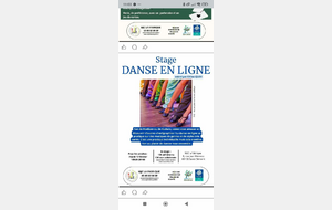 Stage de danse en ligne MJC St Clément facultatif